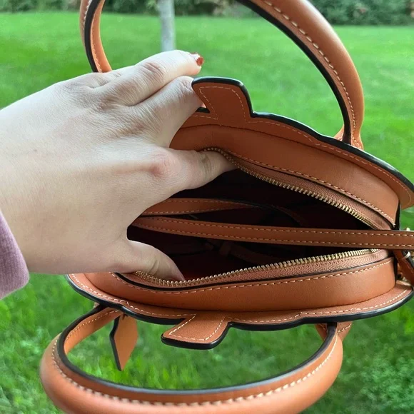 Viral coach pumpkin fall crossbody bag purse